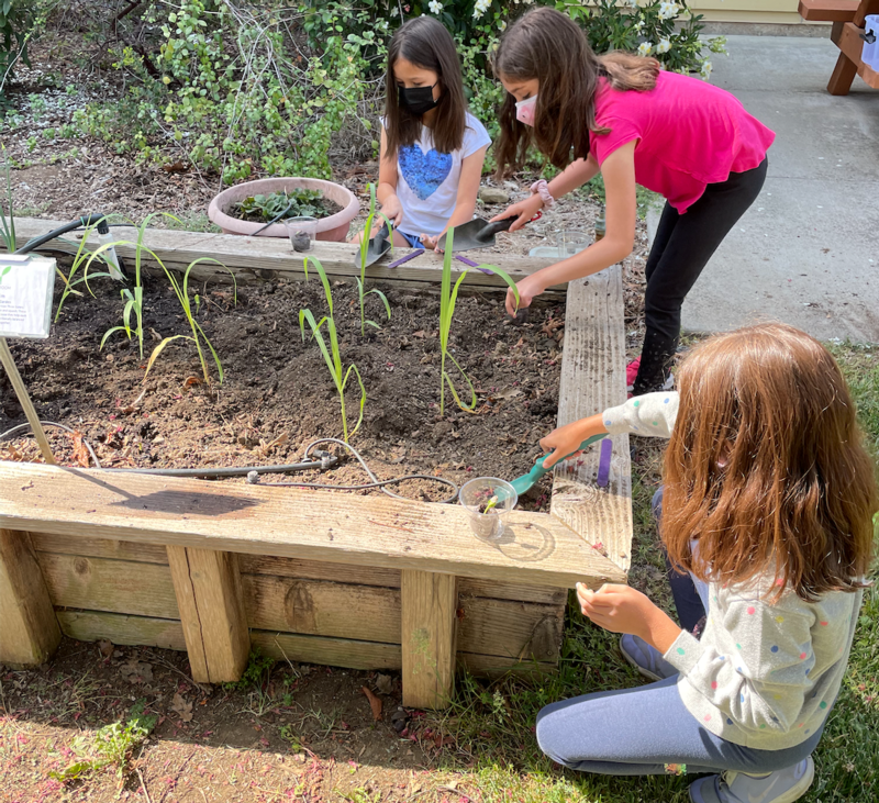 Living Classroom