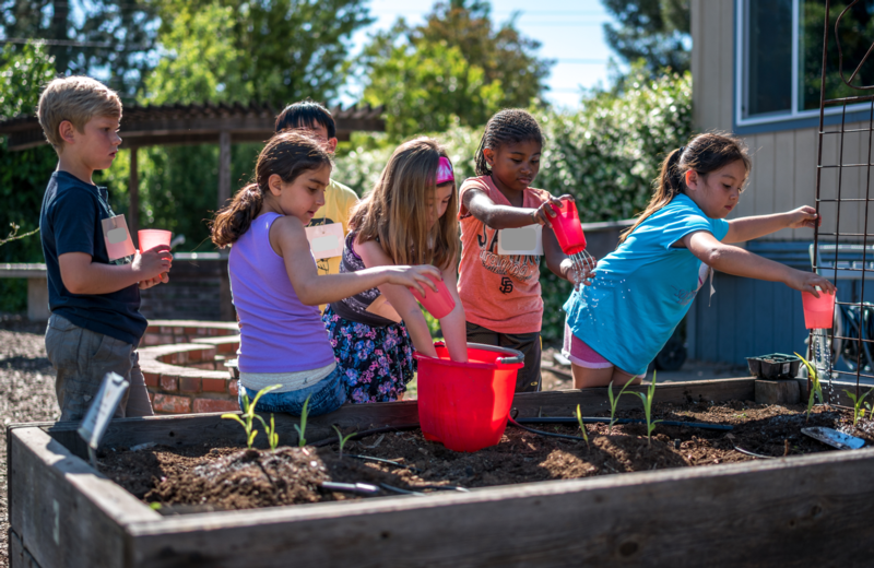 Kids working on a garden box at school